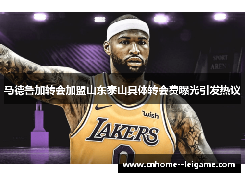 马德鲁加转会加盟山东泰山具体转会费曝光引发热议 马德鲁加转会加盟山东泰山具体转会费曝光引发热议